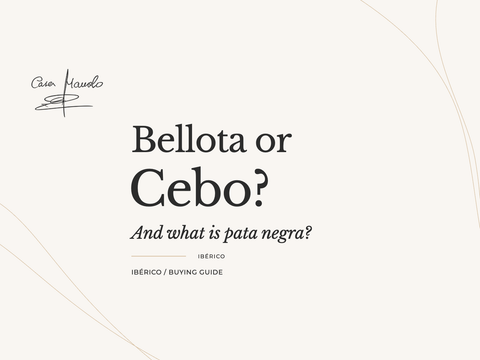 Bellota or Cebo? And what is pata negra? ibérico, buying guide. Casa Manolo guide.