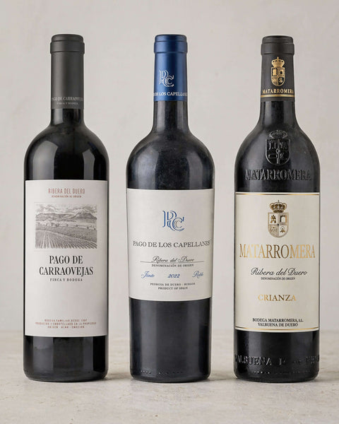 Ribera del Duero Wine Collection - Signature Trio from Casa Manolo, Spanish wine selection presented for gifting or pairing